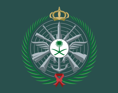 Securing, cooking, and providing food to the participating and supporting forces from Public Security personnel and from outside the sector in Mecca and the Holy Sites .